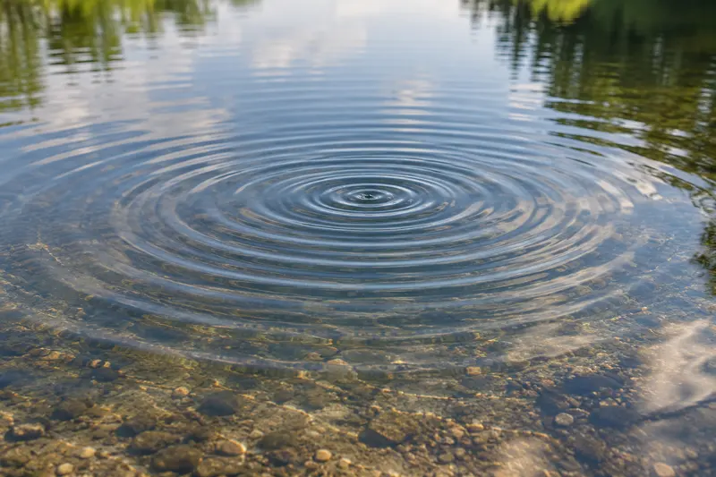 Circular ripples spreading across a calm water surface.